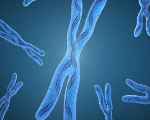 国内供卵机构私立,三代试管生双胞胎费用多少，附试管生双胞胎条件一览!