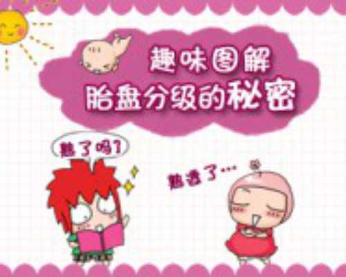 代孕试管婴儿费用全国,publisher模板（publisher软件排版教程