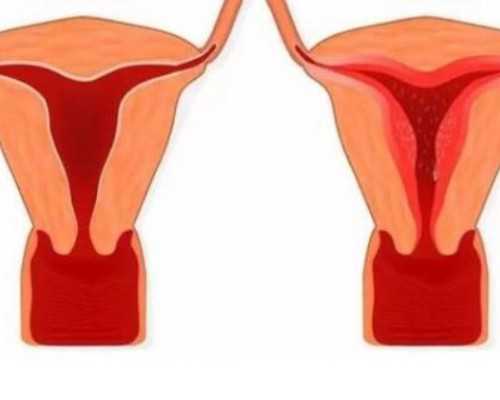 国内供卵试管医院价格详情图,吃佑生碱可以怀男孩是真的吗？
