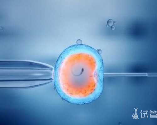 中国可不可以代孕,甲肝疫苗接种时间请查收第二针推迟注射切勿间隔太长