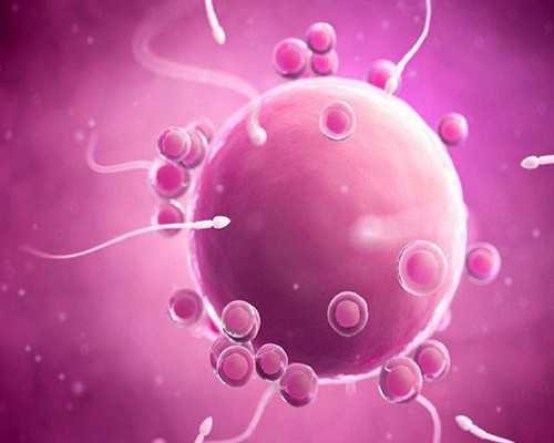 全国好的供卵医院是哪家,湘雅二医院排队做一次三代*试管要多少钱