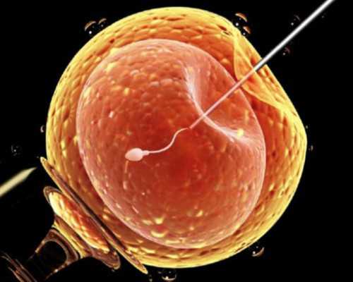 国内可以供卵试管的城市,女性不结婚可以做试管么附上单身女性试管*育攻略