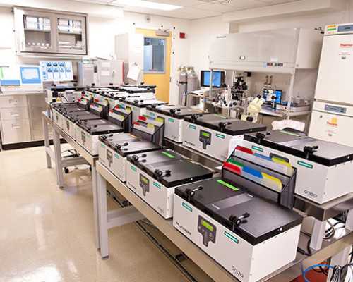 国内供卵电话,2026年全国试管婴儿医院排名前十名的有哪些