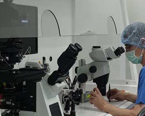 阴道B超在供卵试管中的应用，代生价格