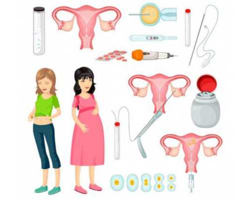 国内咨询代怀公司,北京做试管需要多少钱做试管流程有哪些