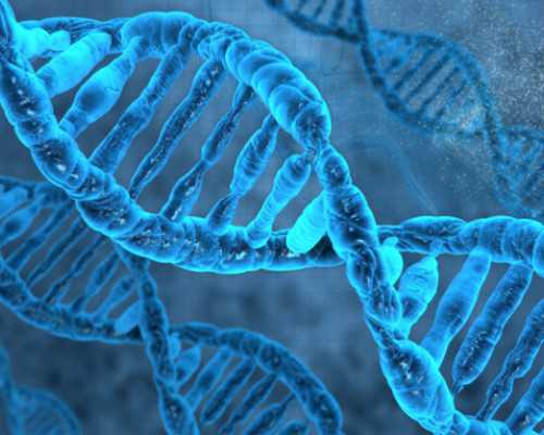 国内代怀孕价格表,孕妇为什么不能用香水呢(孕后期可以用香水吗）