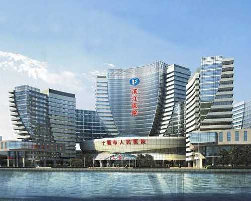 国内代孕公司咨询服务,三代试管婴儿济南多少钱？