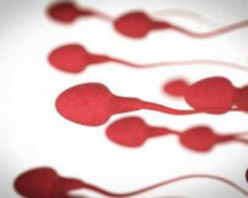 空孕囊：空孕囊和胎停育的区别，代怀孕价钱