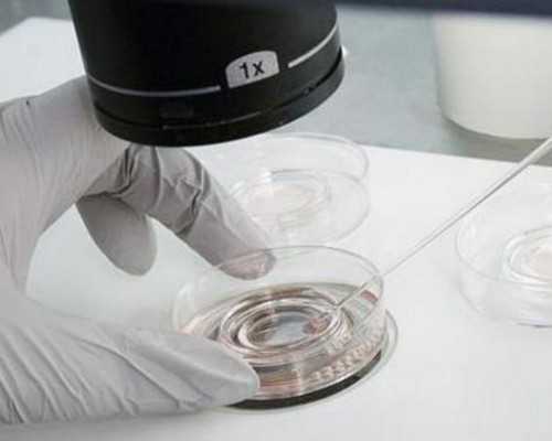 中国供卵公司排名榜单,三代试管婴儿合肥多少钱？