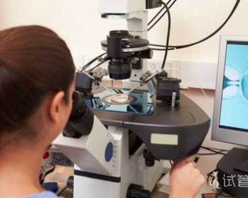 国内供卵试管怎么做,北京作试管婴儿需要多少钱试管婴儿具体流程有哪些