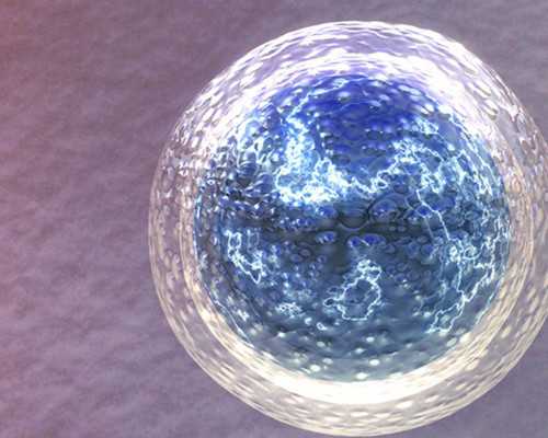 全国有提供供卵服务的医院,人为停经后可以直接进行冻胚移植吗？