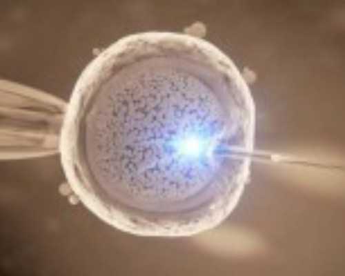 国内试管供卵中心在哪里,少精弱精患者不能松懈!这4项检查一个都不能少