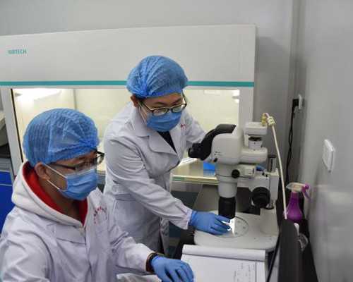 代生孩子中介,怀孕初期能吃鸡爪吗